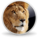 OS X